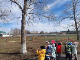 🐦🏠"Скворечник"🏠🐦 🐦🏠"Скворечник"🏠🐦.