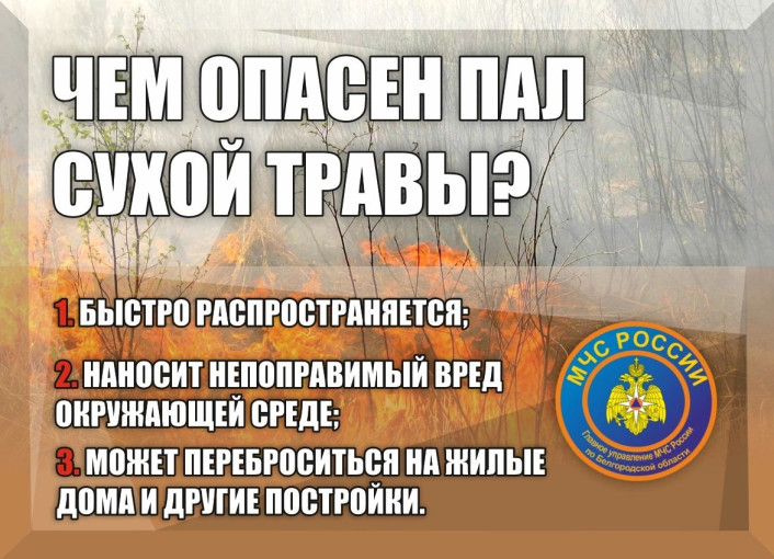 Недопущения пожаров Недопущения пожаров.